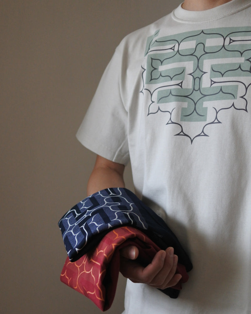 コットン厚手Tシャツ【apappo epuy】3色